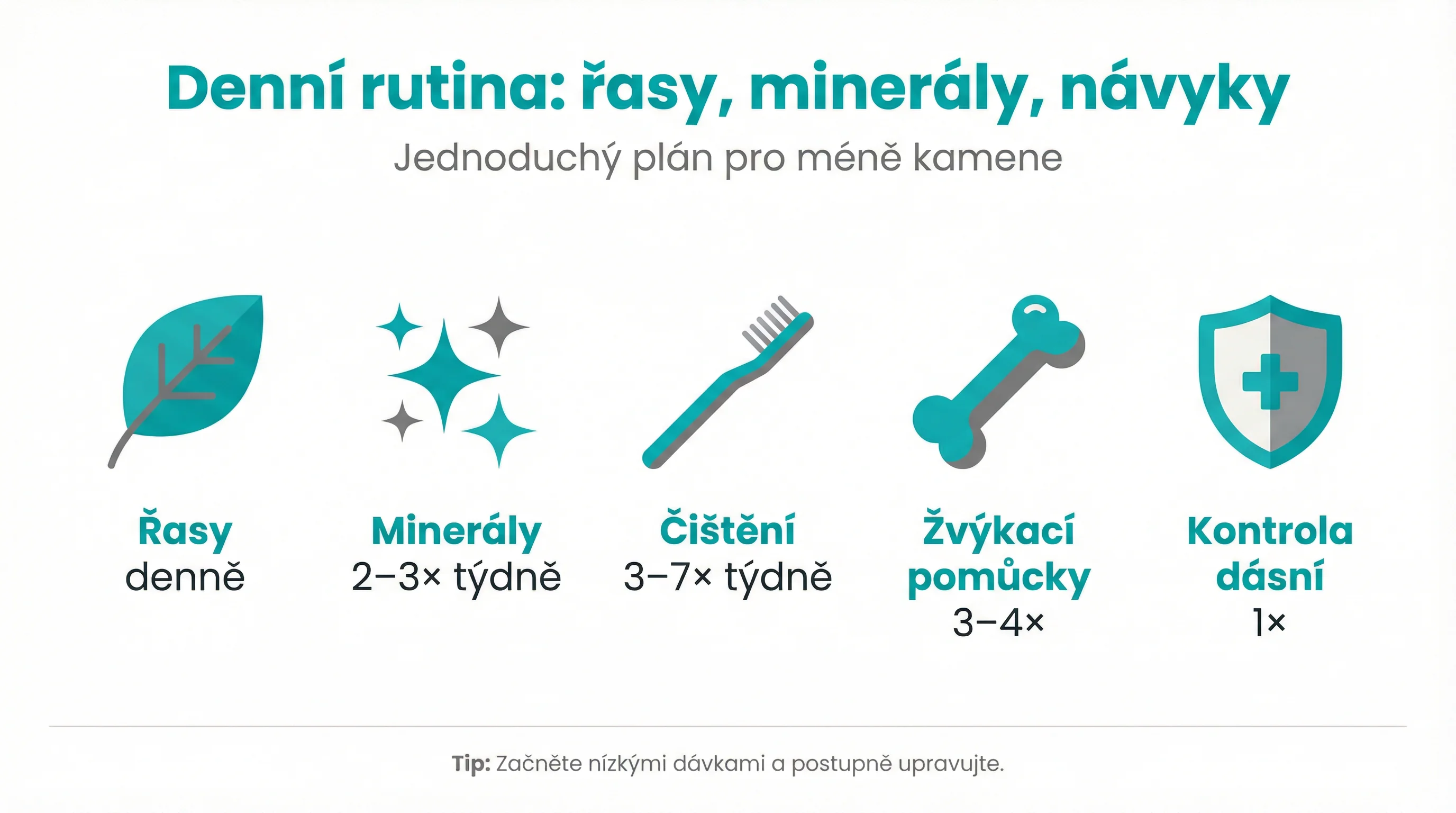 Denní rutina: řasy, minerály, návyky