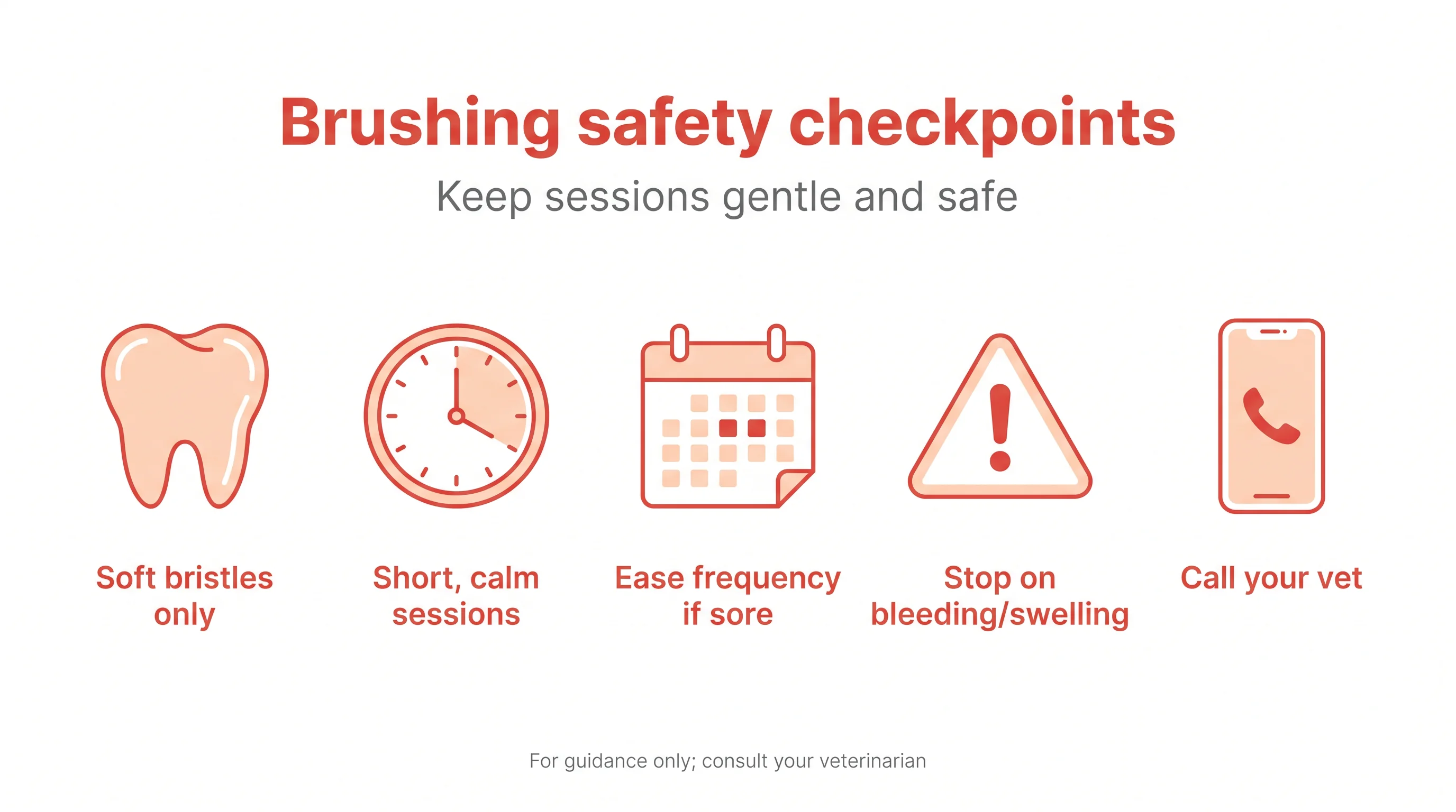 Brushing safety checkpoints