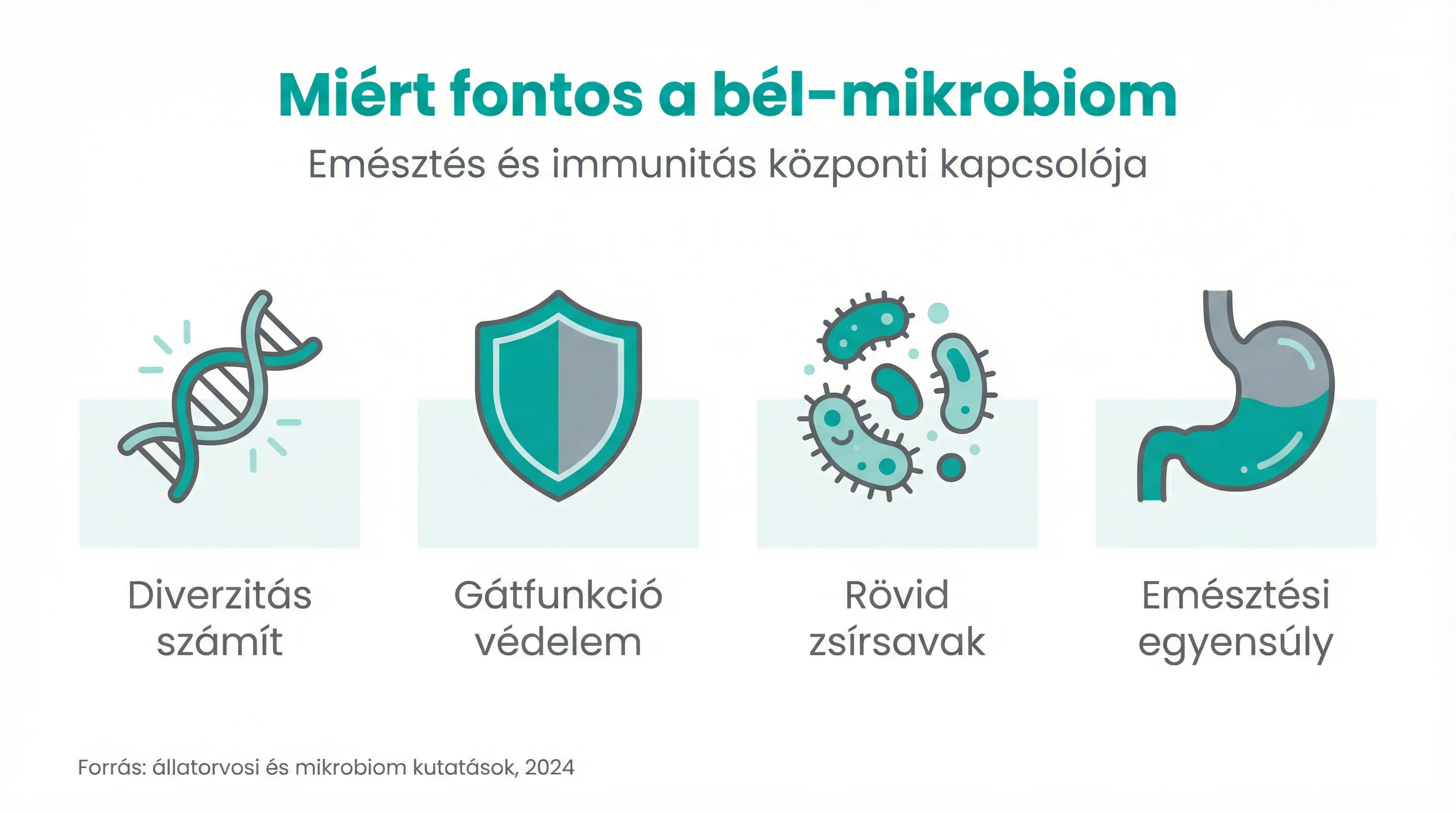 Miért fontos a bél‑mikrobiom