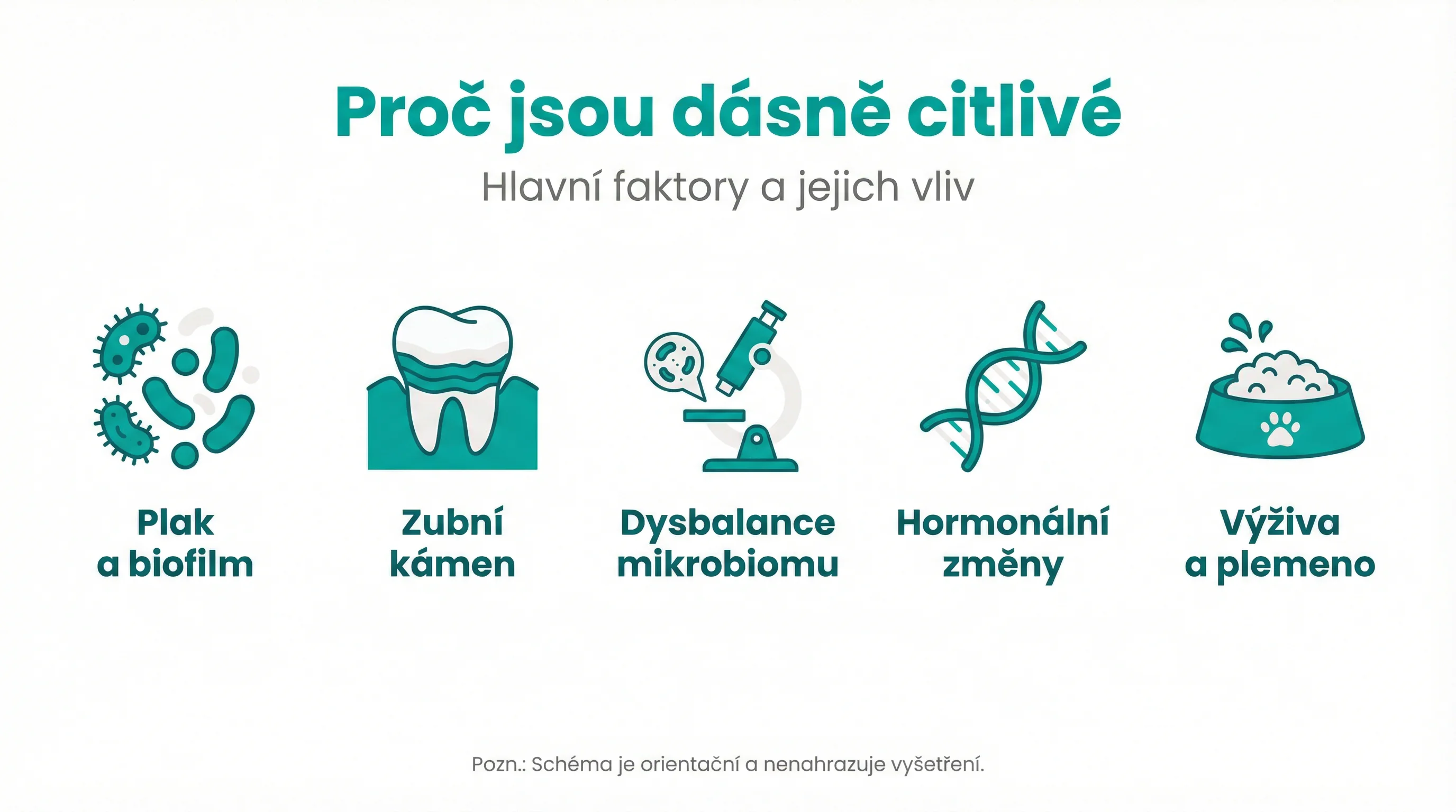 Proč jsou dásně citlivé