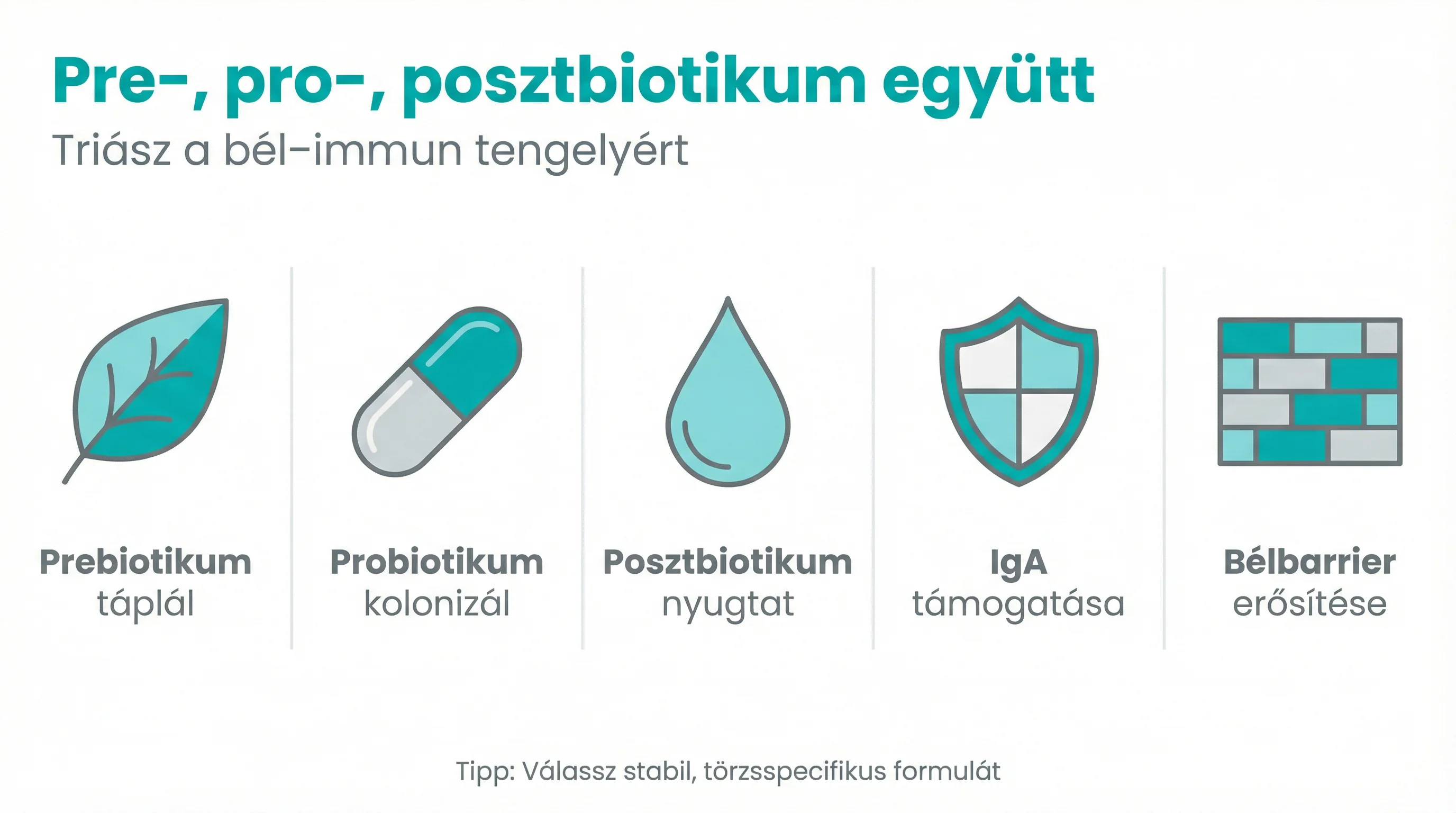 Pre-, pro-, posztbiotikum együtt
