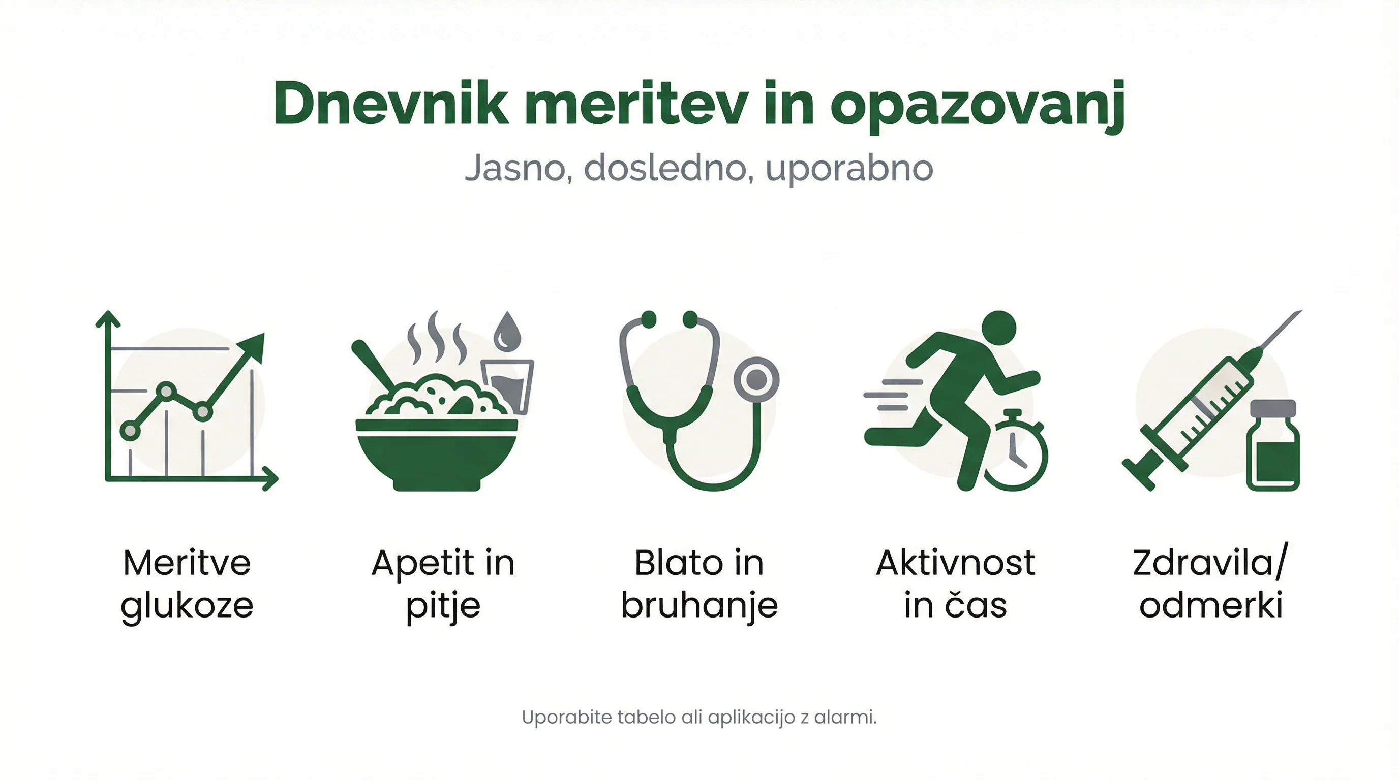 Dnevnik meritev in opazovanj