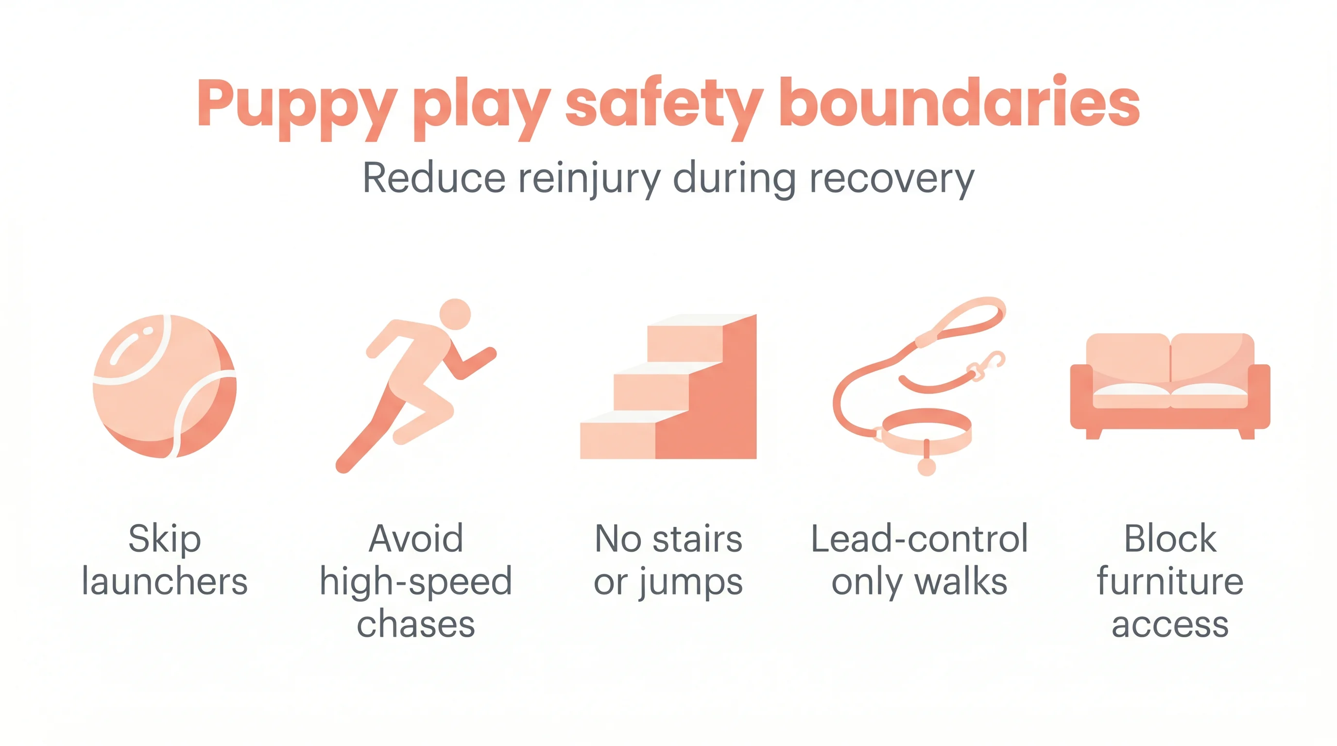 Puppy play safety boundaries