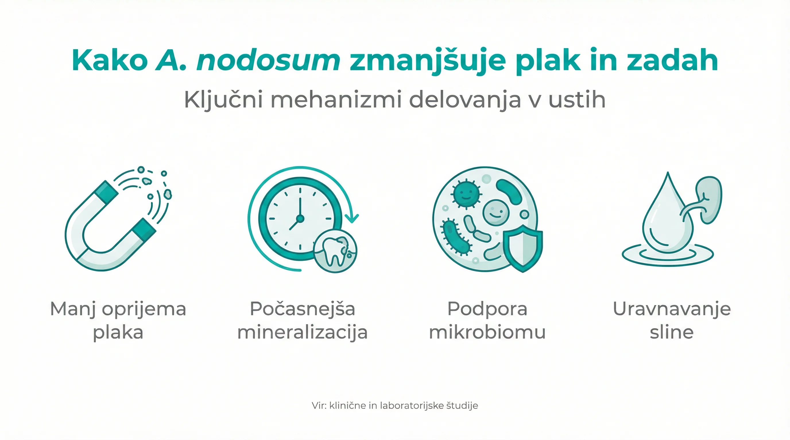 Kako A. nodosum zmanjšuje plak in zadah