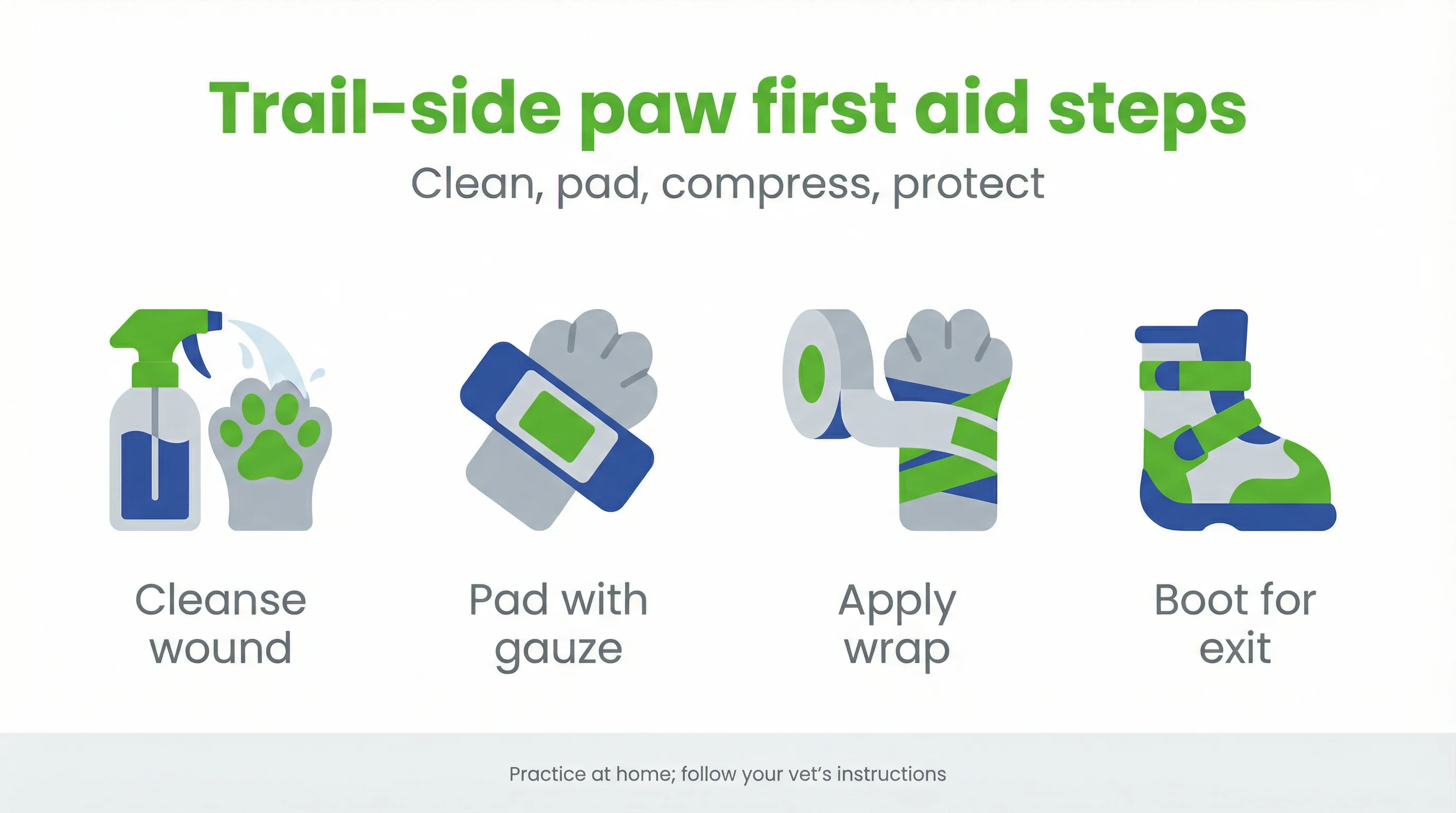 Trail-side paw first aid steps