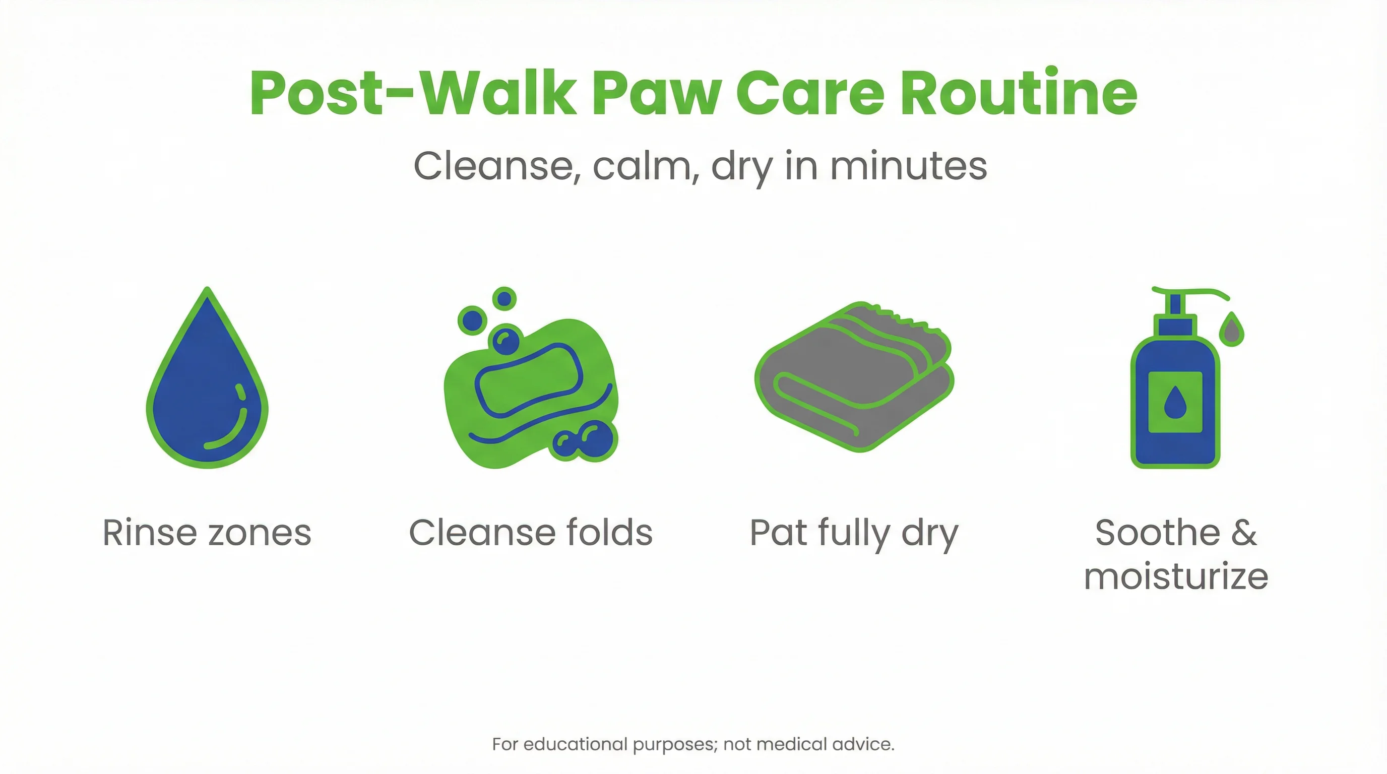 Post-Walk Paw Care Routine