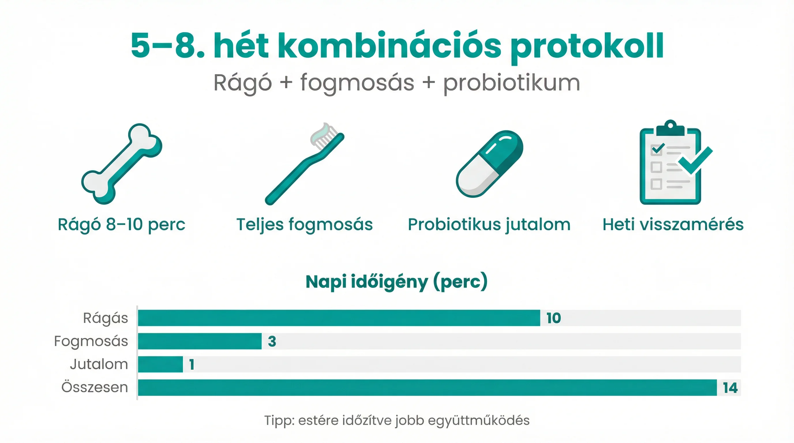 5–8. hét kombinációs protokoll