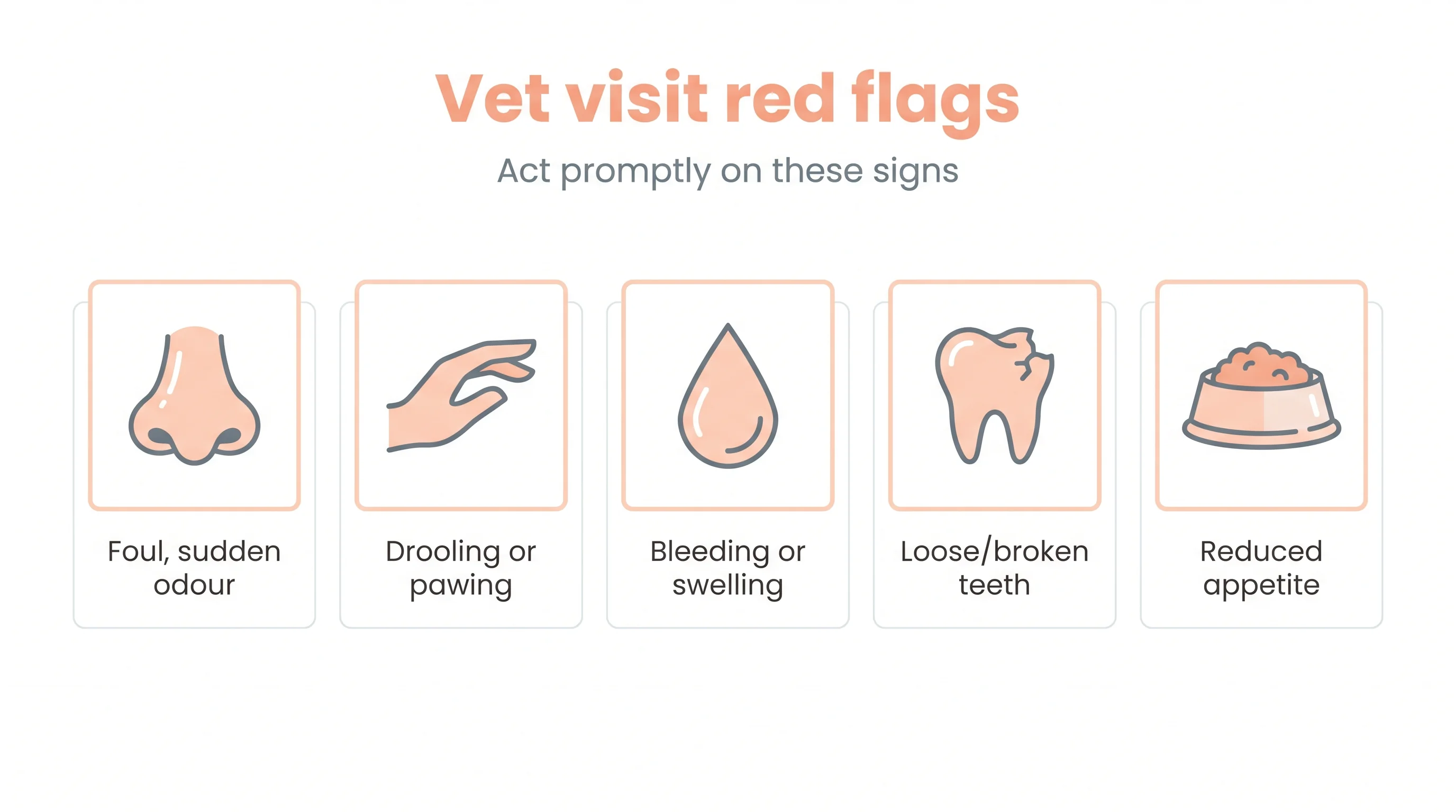 Vet visit red flags