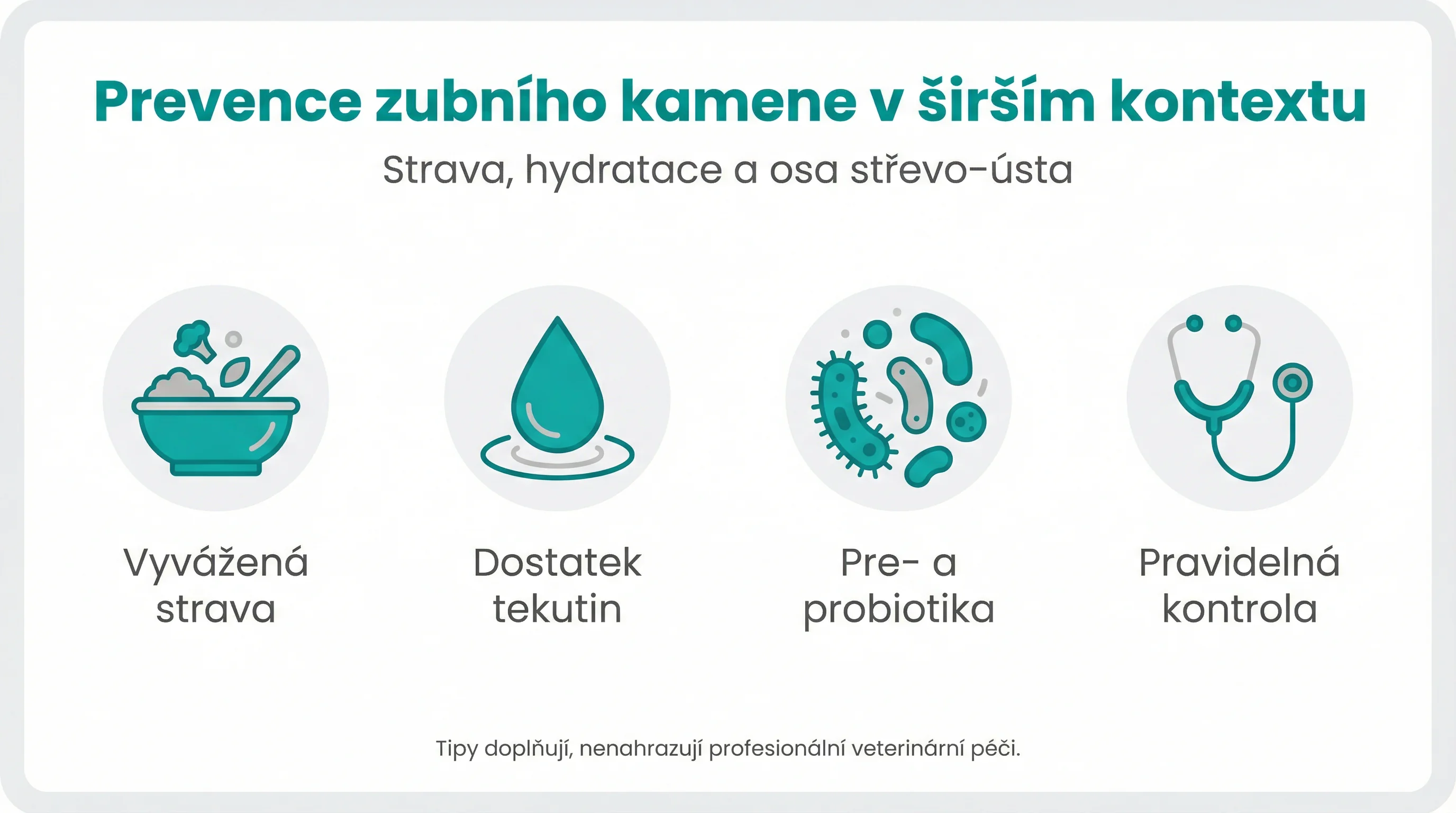 Prevence zubního kamene v širším kontextu