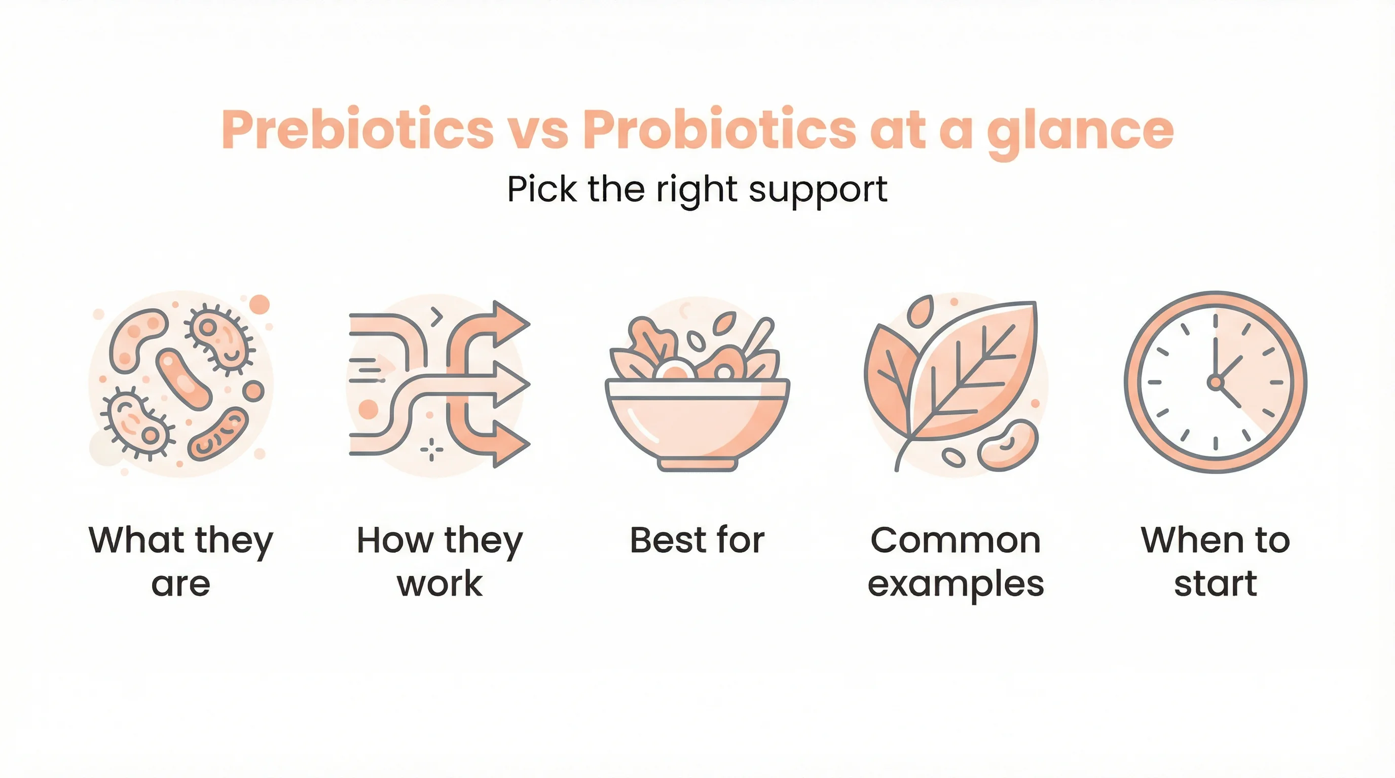 Prebiotics vs Probiotics at a glance