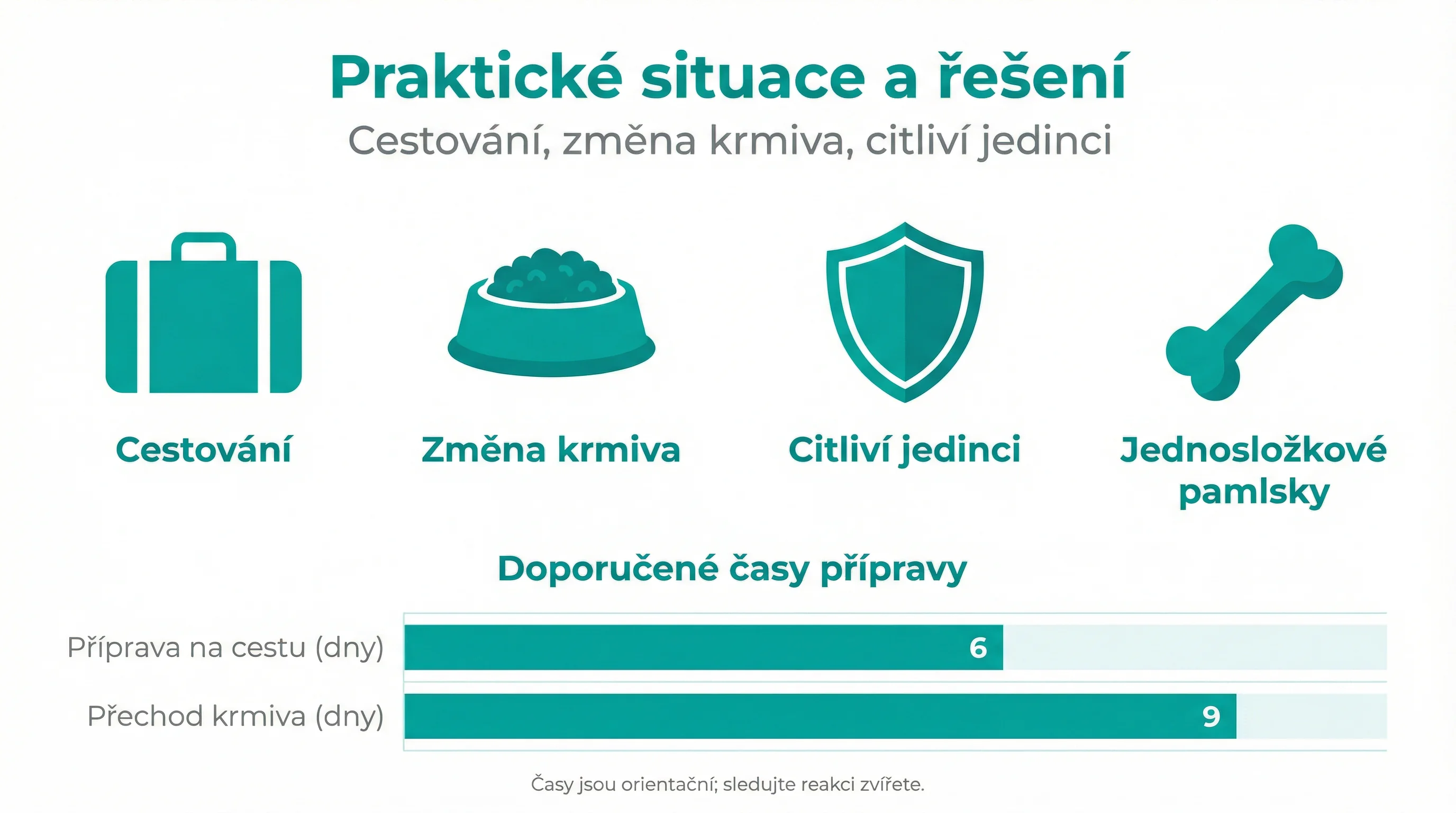 Praktické situace a řešení