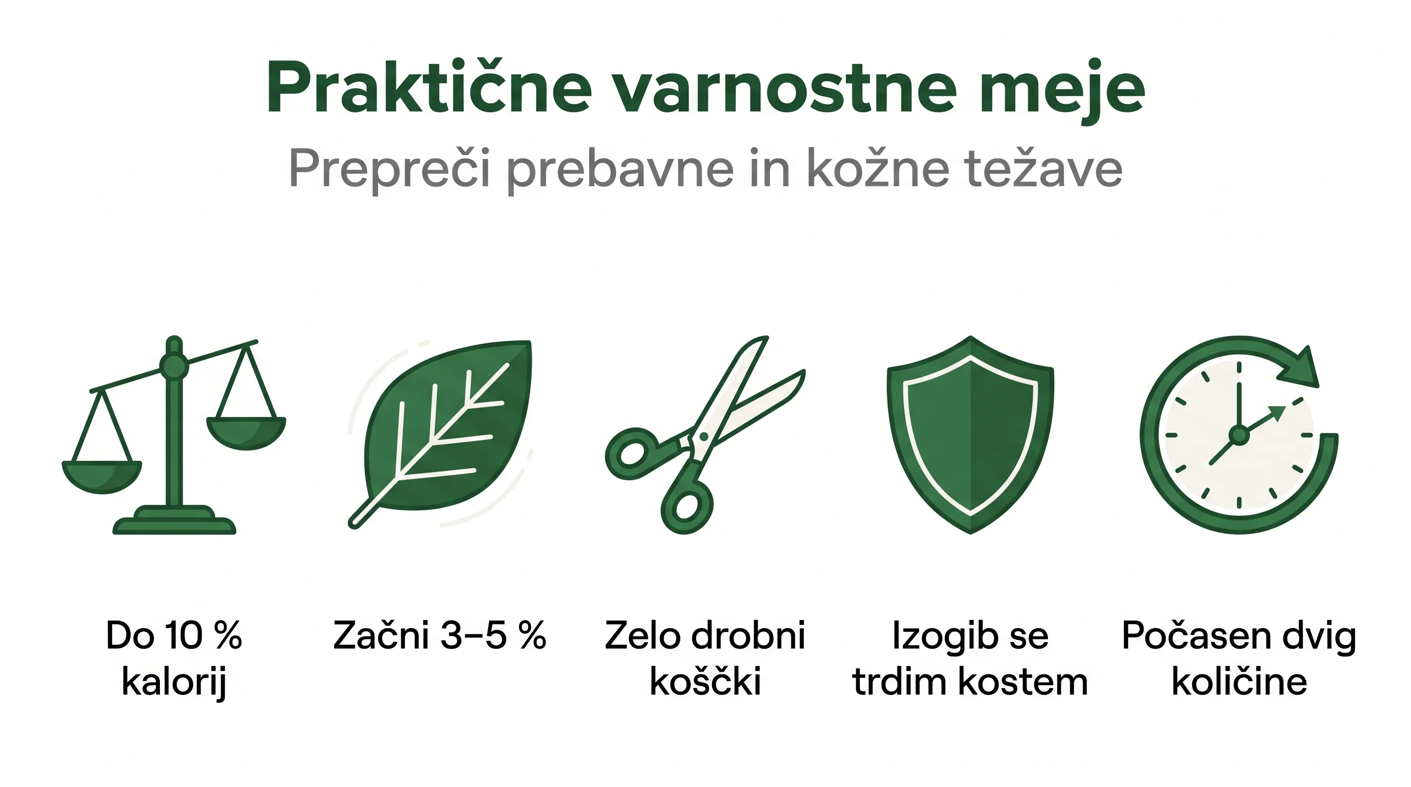 Praktične varnostne meje