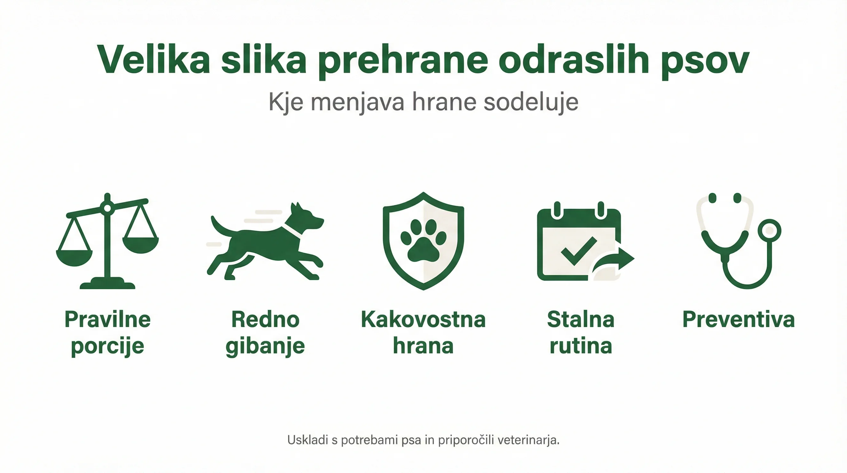Velika slika prehrane odraslih psov