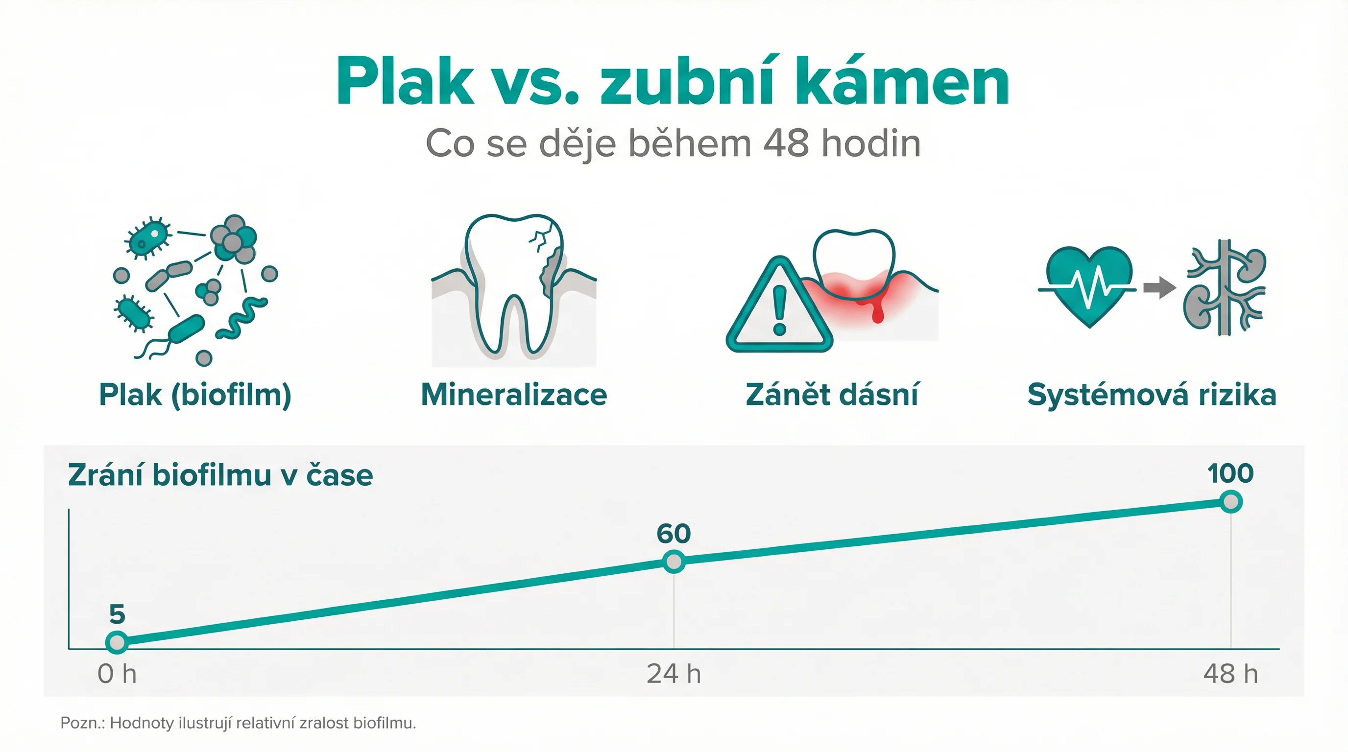 Plak vs. zubní kámen