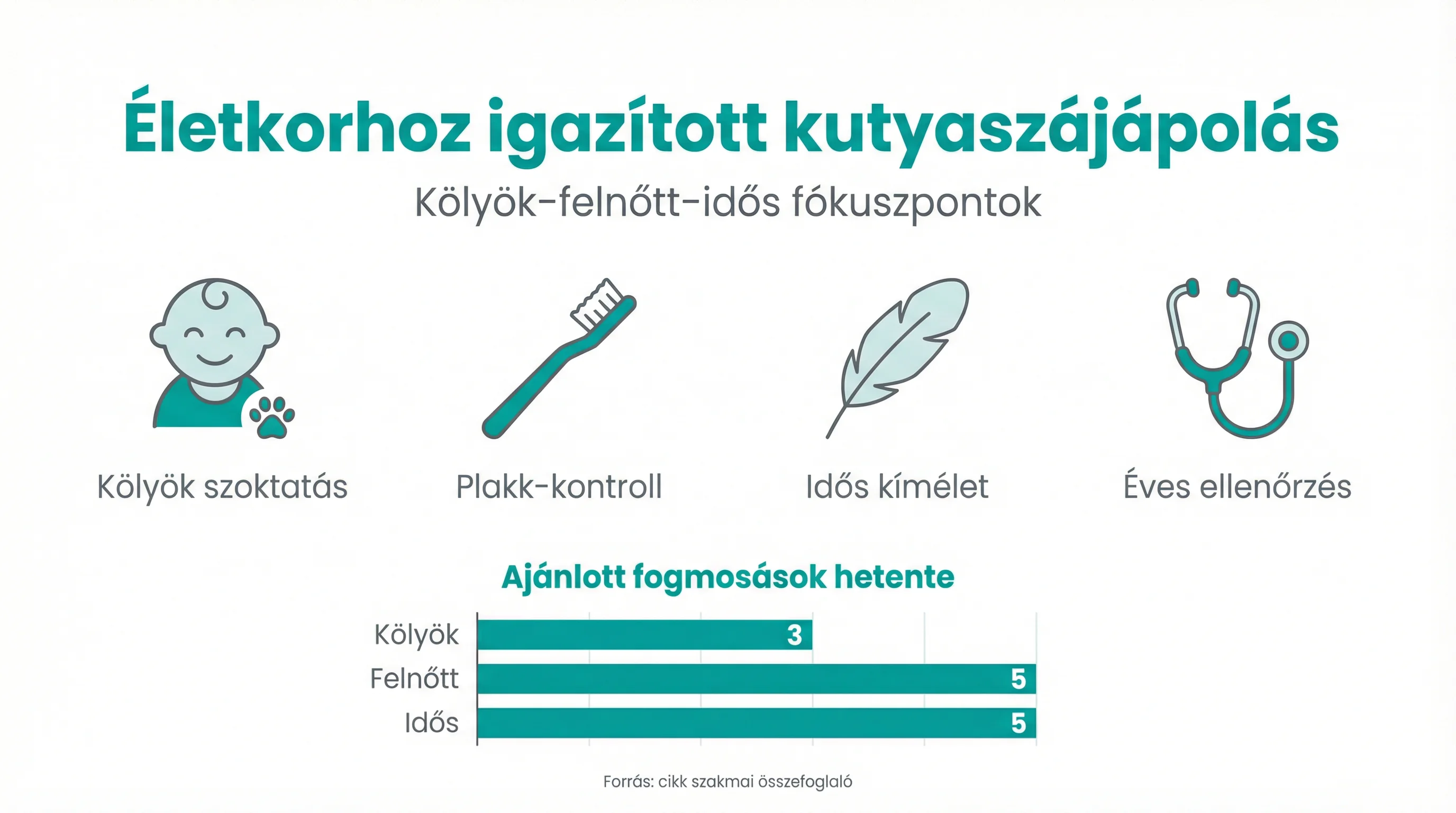 Életkorhoz igazított kutyaszájápolás