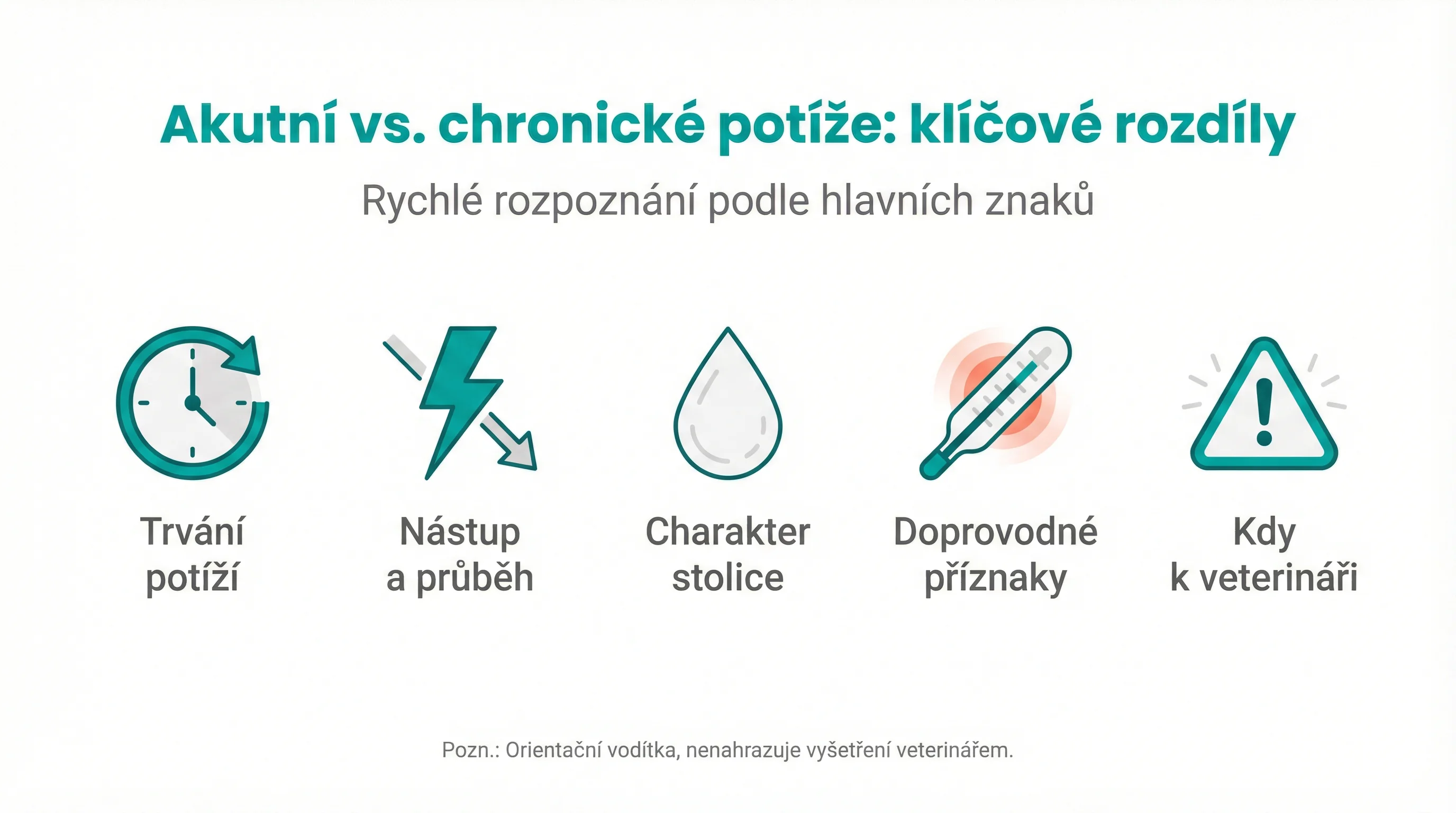 Akutní vs. chronické potíže: klíčové rozdíly