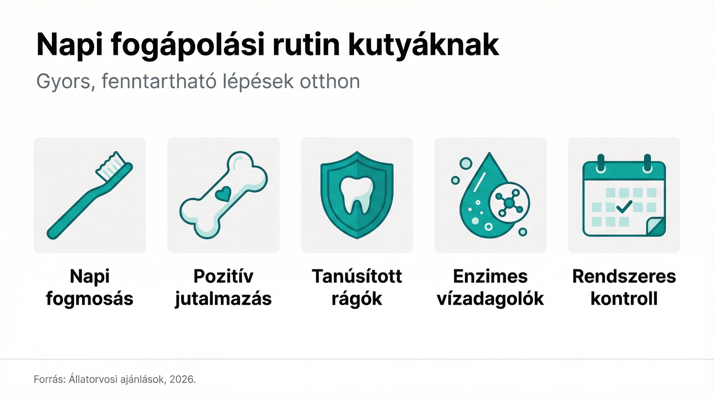 Napi fogápolási rutin kutyáknak