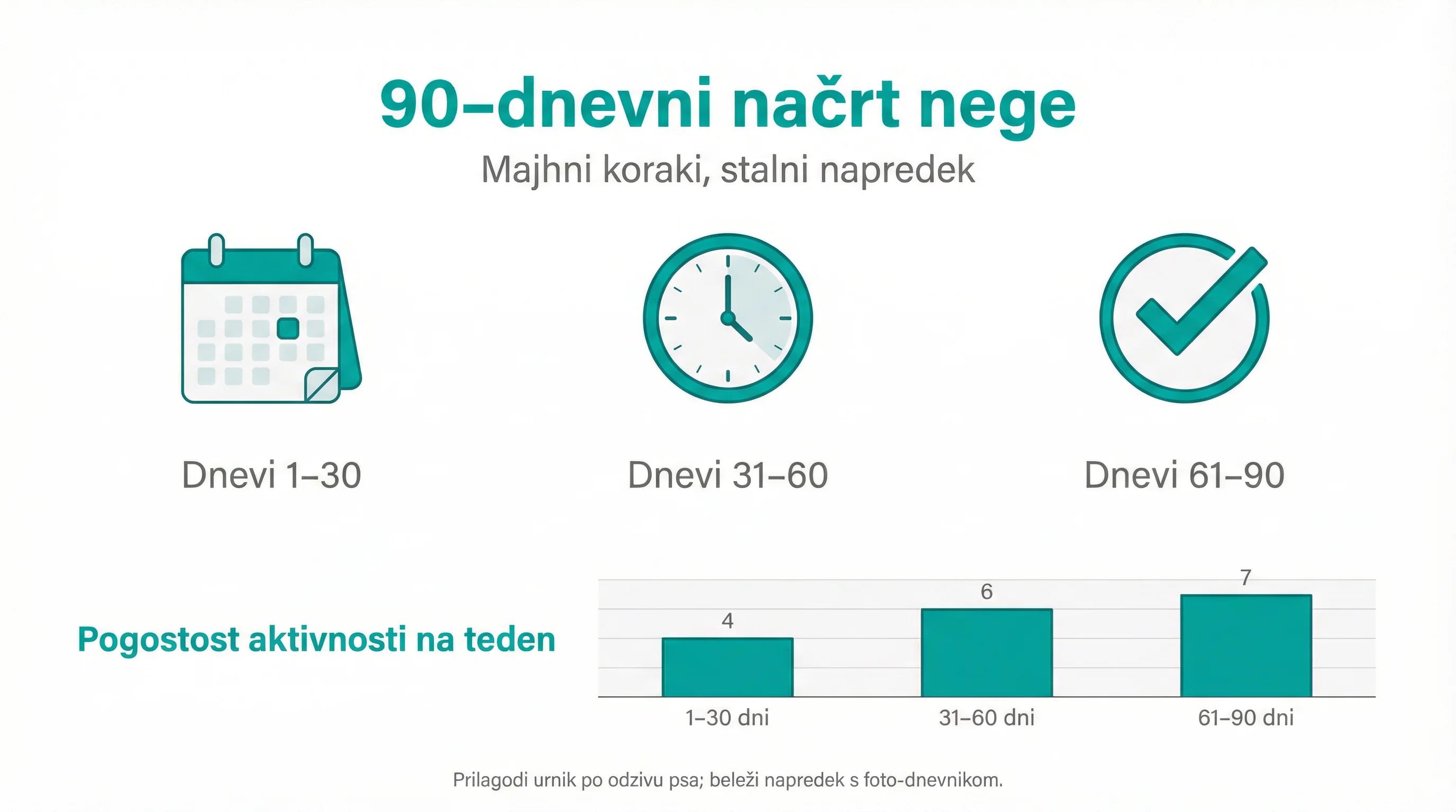 90‑dnevni načrt nege