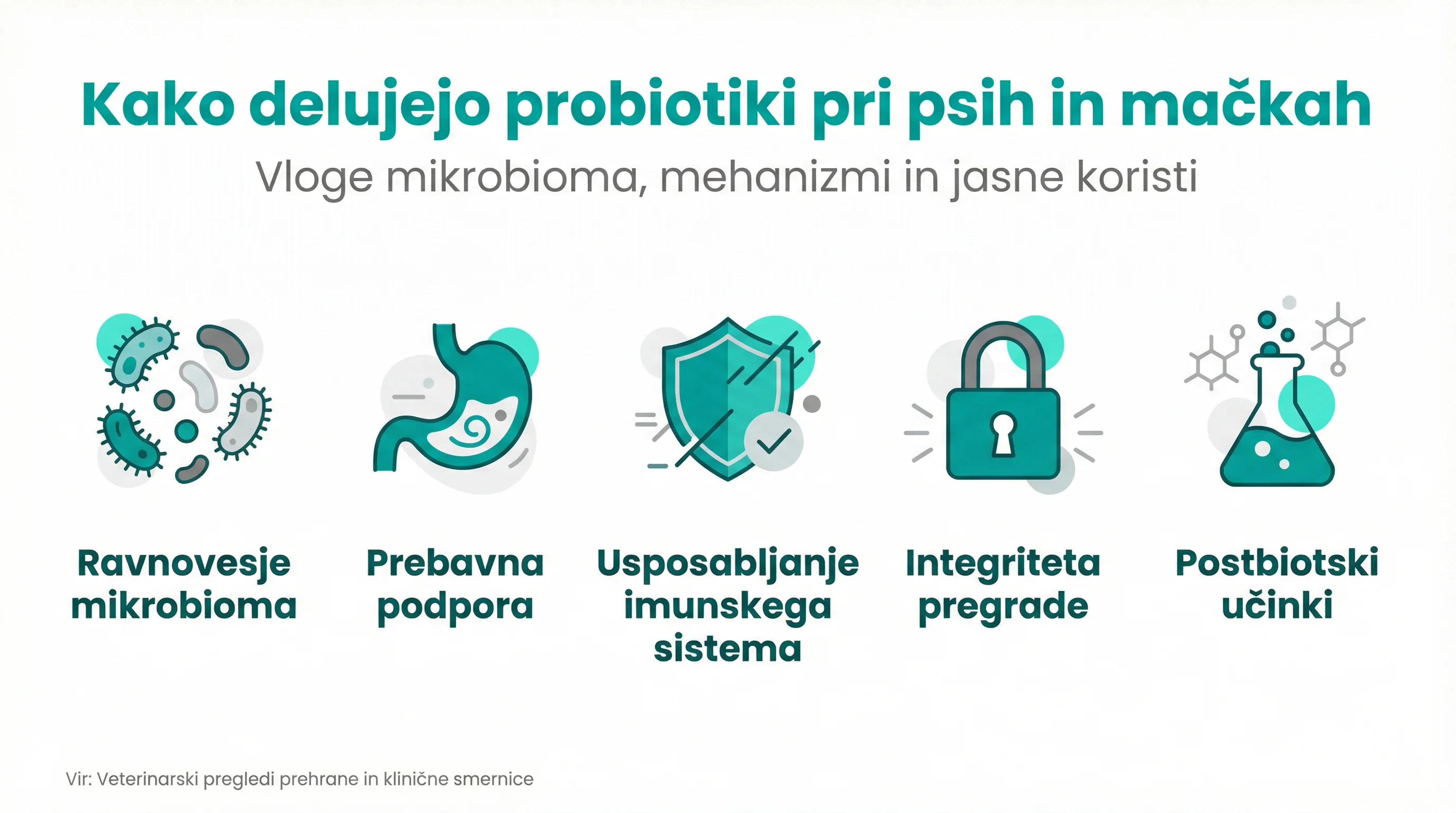 How probiotics work in dogs and cats