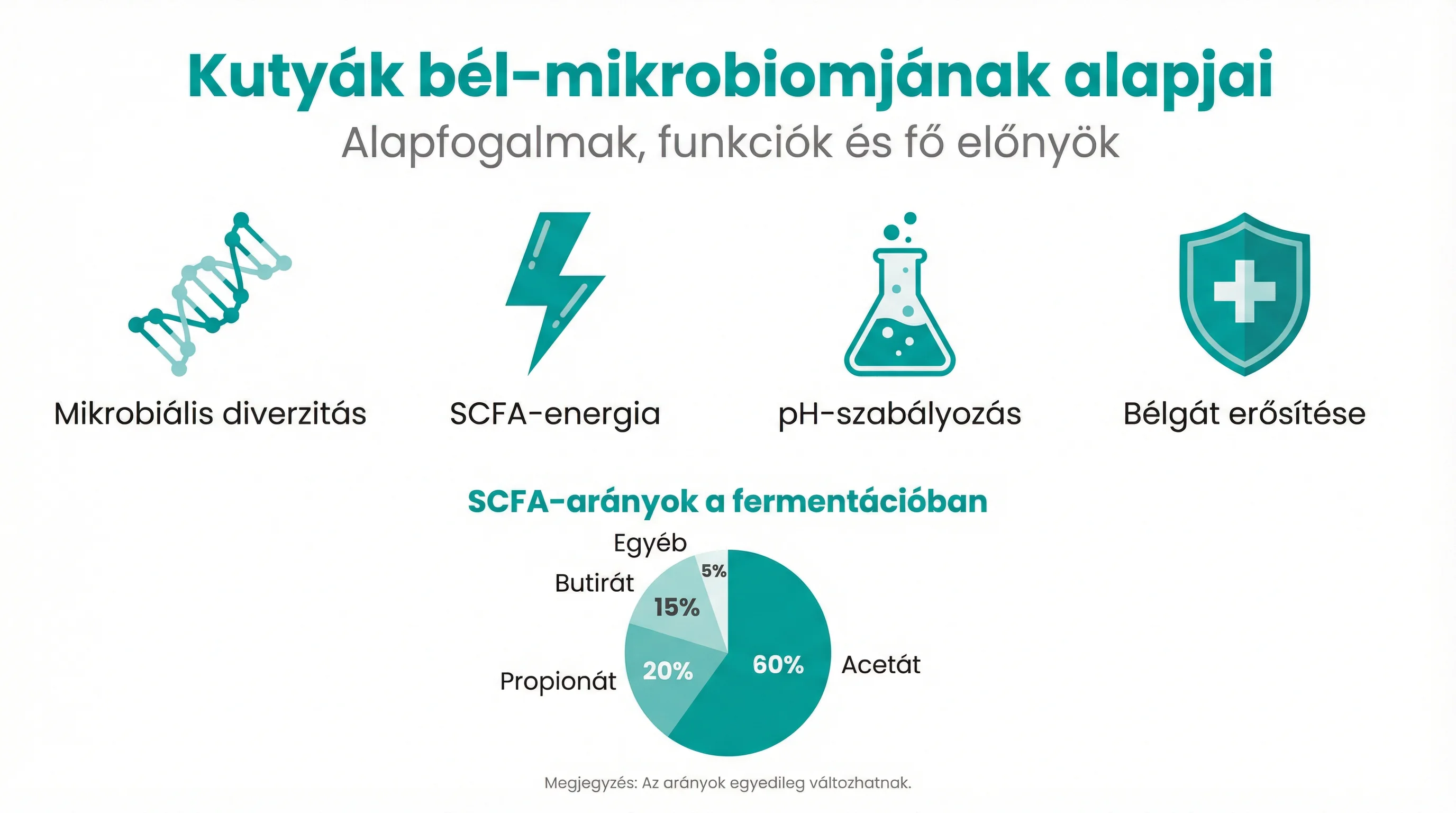 Kutyák bél‑mikrobiomjának alapjai