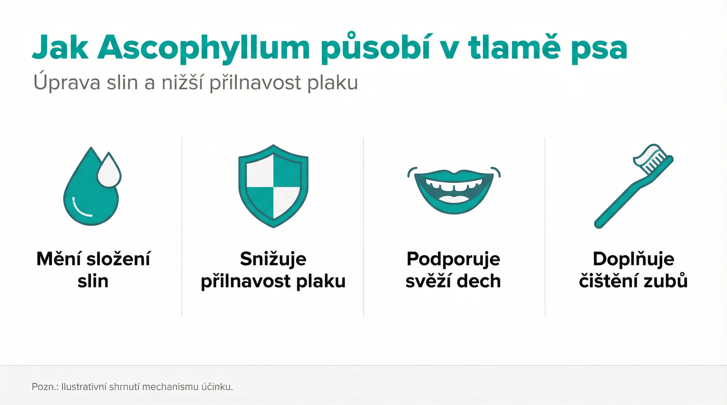 Jak Ascophyllum působí v tlamě psa