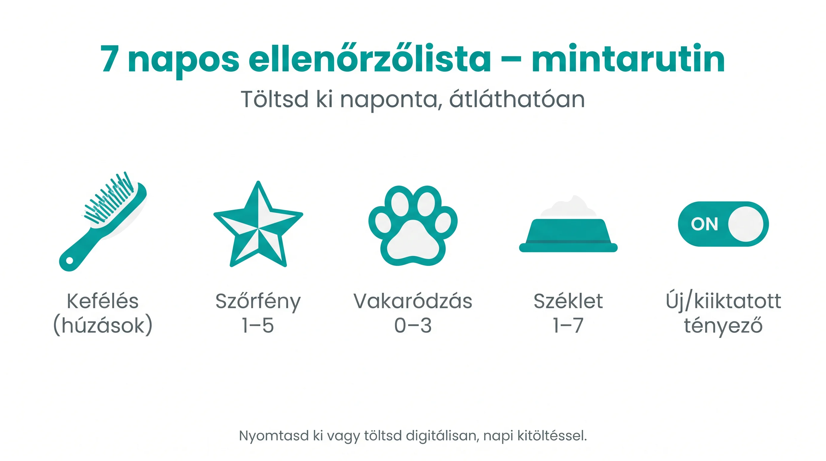 7 napos ellenőrzőlista – mintarutin