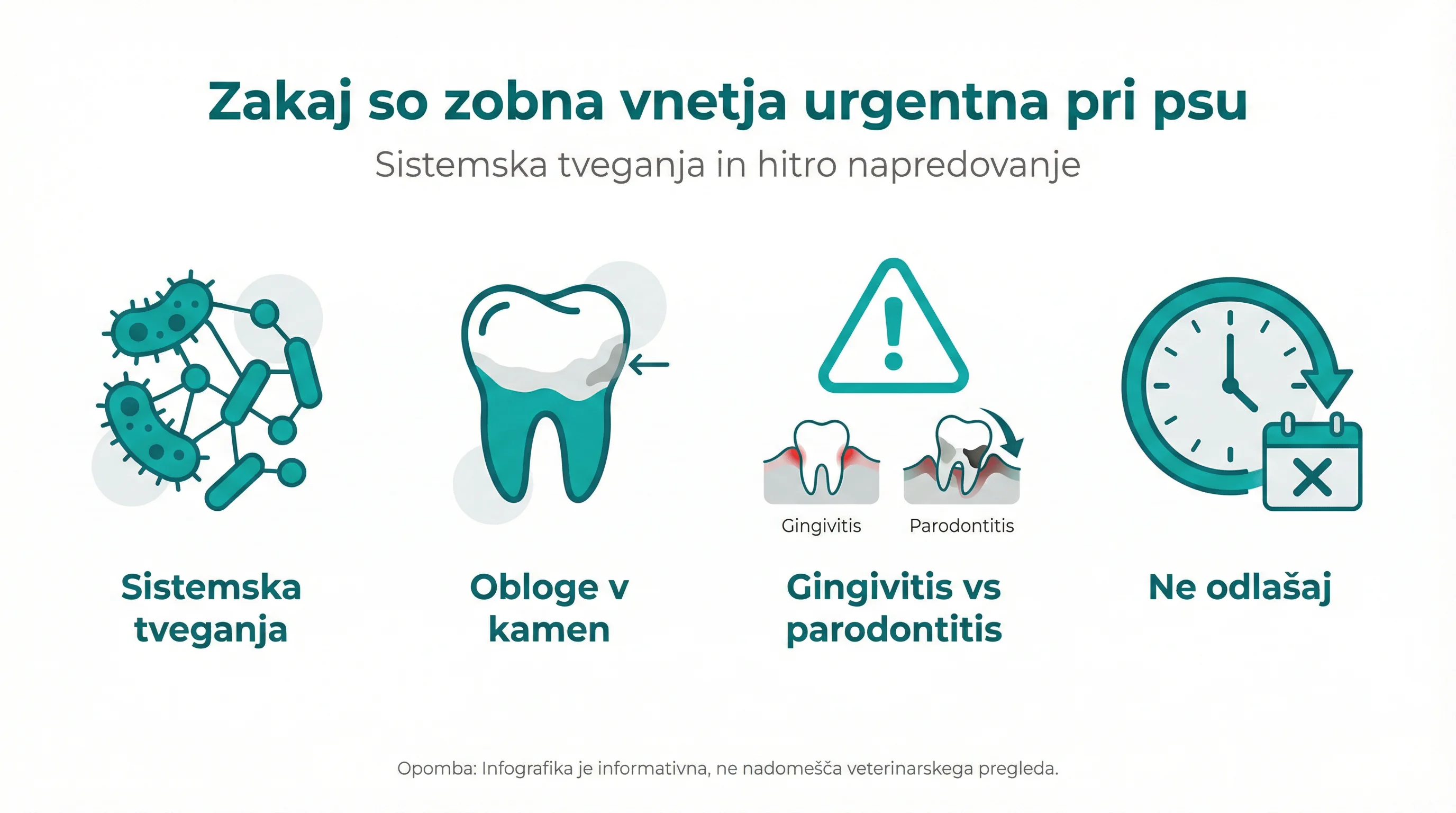 Zakaj so zobna vnetja urgentna pri psu