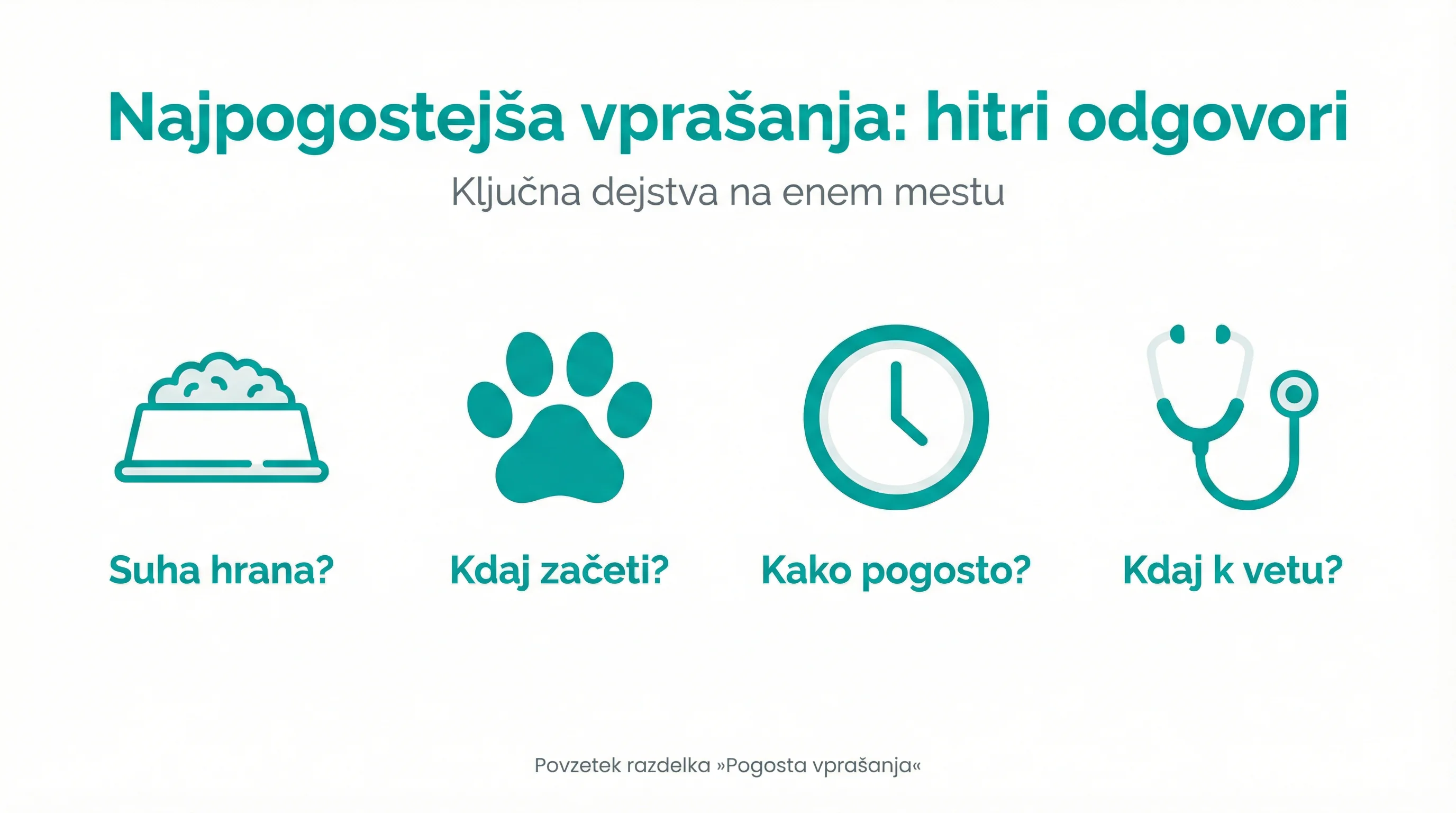 Najpogostejša vprašanja: hitri odgovori