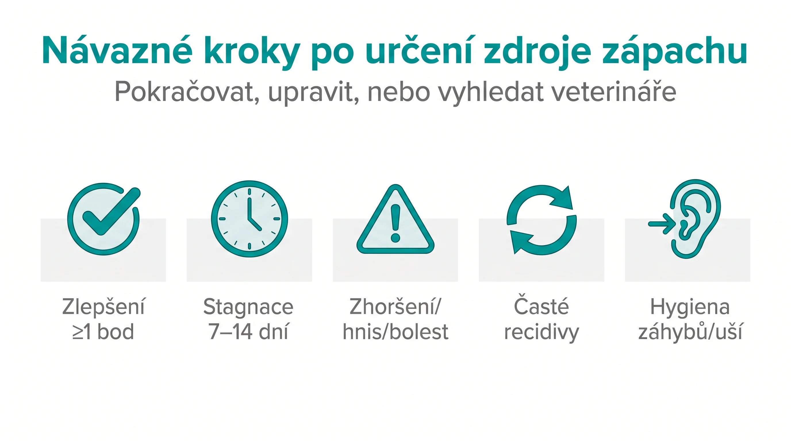 Návazné kroky po určení zdroje zápachu