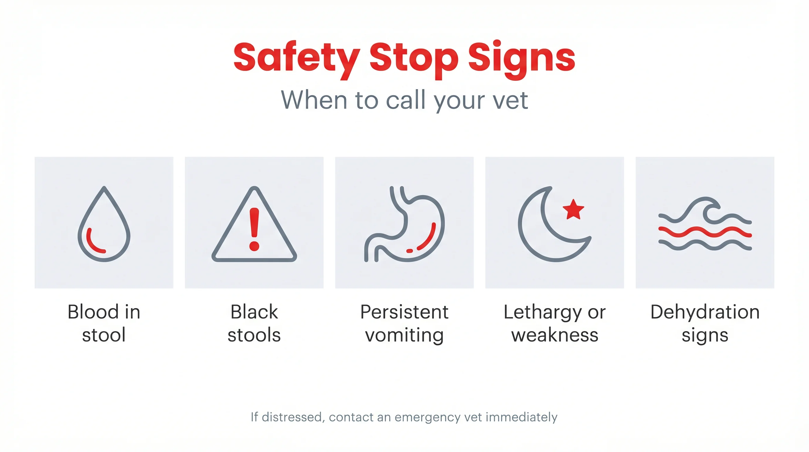 Safety Stop Signs