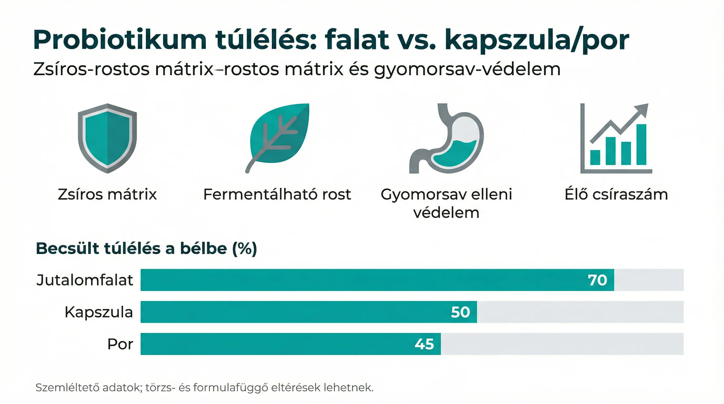 Probiotikum túlélés: falat vs. kapszula/por