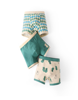 Boys 3Y-10Y Boxer Briefs Combed Cotton Underwear Pack of 3 PJ561 Bear H980