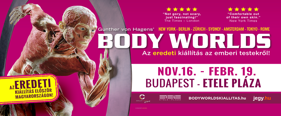 Body Worlds Exhibition