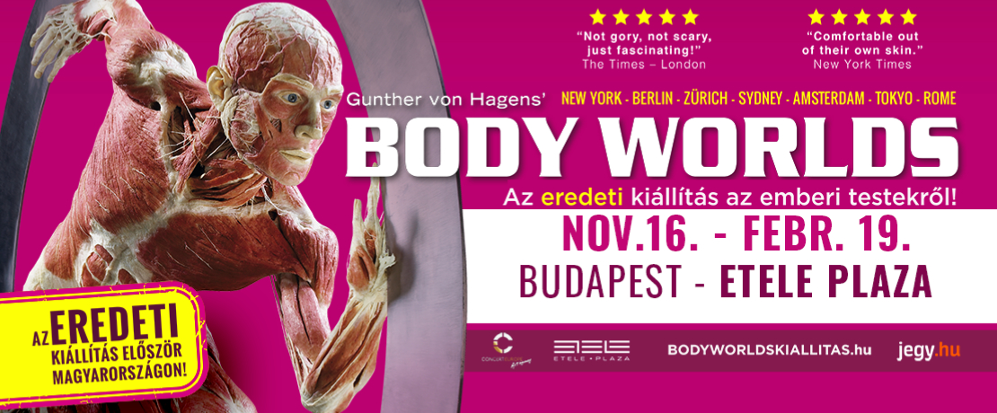 Body Worlds Kiállítás