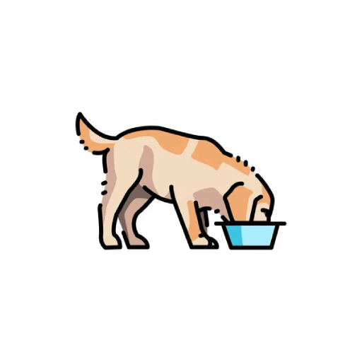 Dog water dispenser