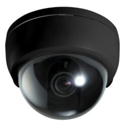 LogiLink Ψεύτικη Κάμερα Παρακολούθησης Τύπου Dome Μαύρη SC0202