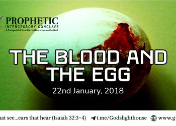 The Blood And The Egg