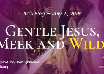 Gentle Jesus, Meek and Wild!
