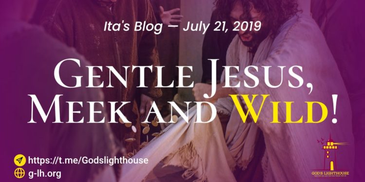 Gentle Jesus, Meek and Wild!