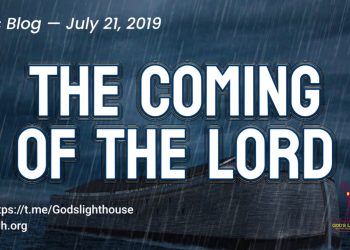 Gentle Jesus, Meek and Wild!