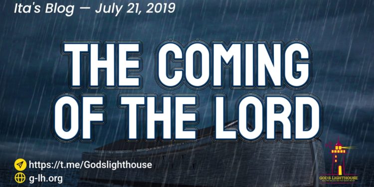 Gentle Jesus, Meek and Wild!