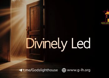 LT19 | Hiding in Corners