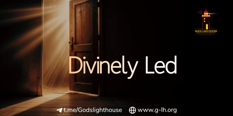 LT19 | Hiding in Corners