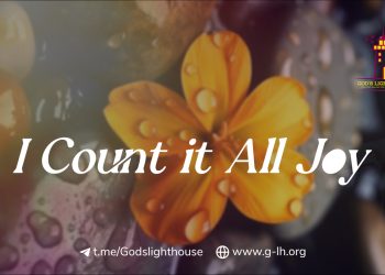 LT19 | Hiding in Corners