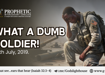 What A Dumb Soldier!