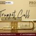 Trumpet Call