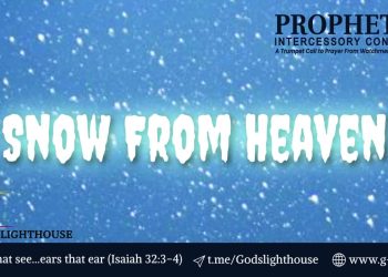 Dark Beings Incoming: Time to Grow Up!