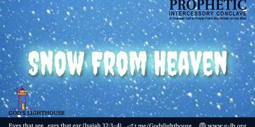 Dark Beings Incoming: Time to Grow Up!