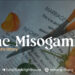 GT47 | The Misogamist