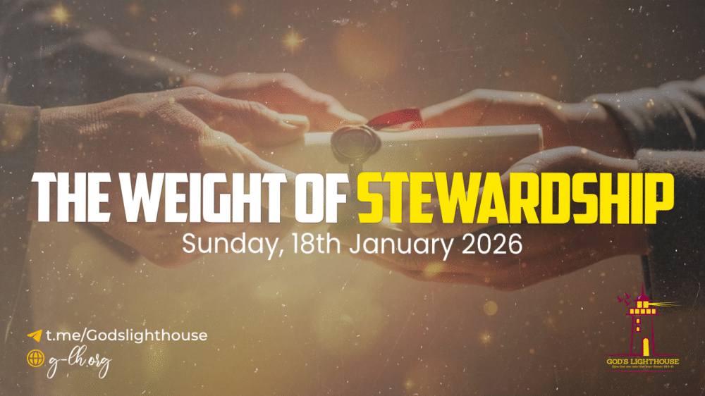 The Weight of Stewardship Image